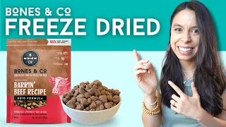 BEST Freeze-Dried Dog Food Tips!