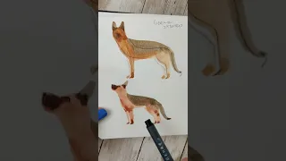 Super simple German Sheperd watercolor painting!