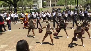 TEXAS SOUTHERN UNIVERSITY "PREVIEW DAY" PEP RALLY !