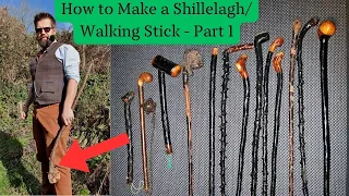 How to Make a Shillelagh/Walking Stick Part 1: Finding, Cutting, and Seasoning