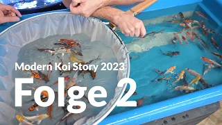 Modern Koi Story 2023 - Folge 2