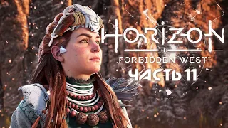 HORIZON FORBIDDEN WEST ★ Полное прохождение ★ Часть 11