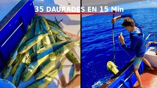 35 Daurades EN 15 Minutes / FRÉNÉSIE