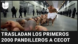 El Salvador traslada a los primeros 2,000 pandilleros al Centro de Confinamiento del Terrorismo