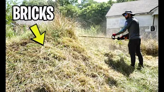 This YARD looked like a BATTLE FIELD and the CITY wouldn’t touch it. So WE took on the CHALLENGE!!