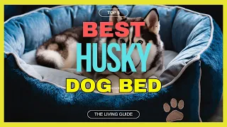 🔥 Best Dog Bed for Husky in 2024 ☑️ TOP 5 ☑️