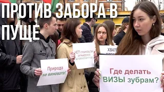 "Это наша история и экология!" Молодёжь столицы против забора в Беловежской пуще