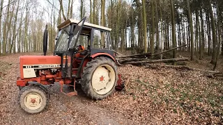 Farm Vlog #192 Bequemes Holz | Funkseilwinde im Einsatz