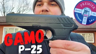 Gamo P25 Blowback Air Pistol Review !!