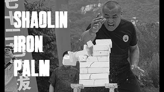 SHAOLIN WEITUO IRON PALM TRAINING