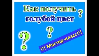 Как получить голубой цвет. Художник Александра Миркушова