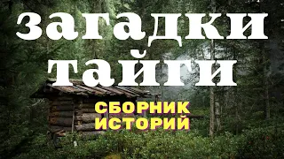 Ужасы тайги/ Мистические страшные истории/ Истории таёжных охотников/ Охотничьи байки