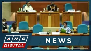 PH House Panel scrutinizes DENR's proposed 2023 budget | ANC