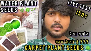Water plant seeds 🌱| carpet plants seeds 🍀 | aquarium plants seeds | grass plant seed | live proof
