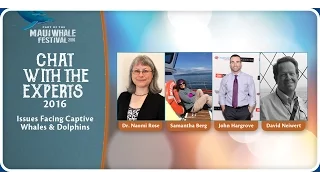 Chat with the Experts 2016: Issues Facing Captive Whales and Dolphins