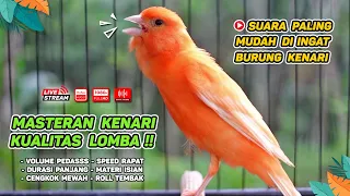 Kenari GACOR‼️ Masteran Burung Kenari PAUD dan Pancingan Kenari MACET BUNYI ( EPISODE  1527)