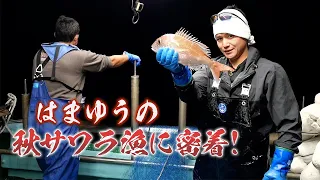 小豆島の漁師はまゆうの漁に密着！秋の鰆漁に海水で作るタイしゃぶ？