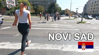 A Walking Tour of Novi Sad - the Second Largest City in Serbia | Serbia Travel Vlog | Must Watch