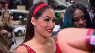 Brie Bella Updated Clips (WWE 1080pHD)