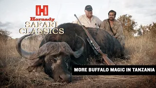 More Cape Buffalo Magic in Tanzania