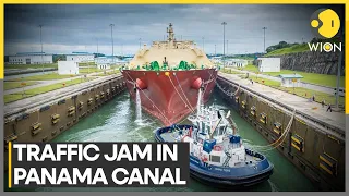 Panama Canal traffic jam: Drought limits the number of vessels able to pass | WION Newspoint