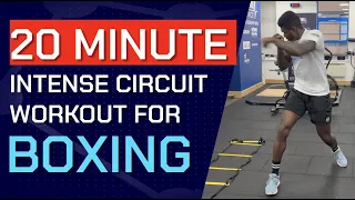 20 Minute Intense Circuit Workout for Boxing