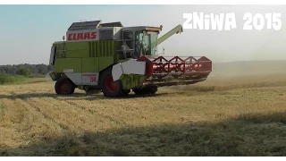 Claas Commandor 114CS|| Żniwa jęczmienne 2015 cz.2|| Czułczyce Kolonia