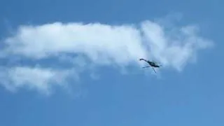 RAF Cosford Air Show Lynx Helicopter Loop the Loop