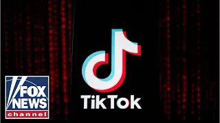 TikTok to sue Trump administration over ban: Report