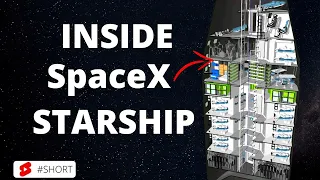 What Is Inside The SpaceX Starship