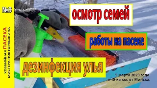 Осмотр пчелиных семей 5 марта 2023 года