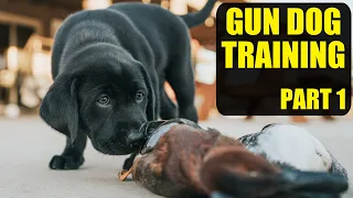 Training A Duck Dog | Pt. 1