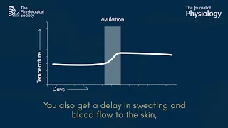 Thermoregulation and the menstrual cycle