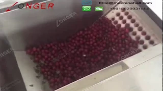 Automatic Cherry Core Removing Machine|Cherry Core Pitting Machine