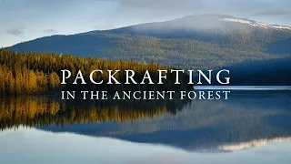 Packrafting in the Ancient Forests of Jämtland