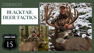 Blacktail Deer Tactics - The Bow Rack Grand Opening