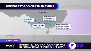 Boeing 737 crash: ‘It’s very hard to tell what happened,’ analyst says