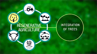 Regenerative Agriculture - Key Principle 6 - Integration of trees