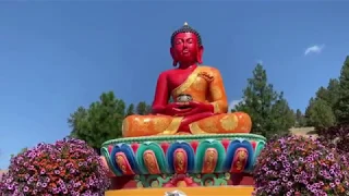 Buddha Amitabha Pure Land