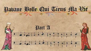 Pavane Belle Qui Tiens Ma Vie - Musica Calamus (renaissance / medieval dance for reenactment, larp)