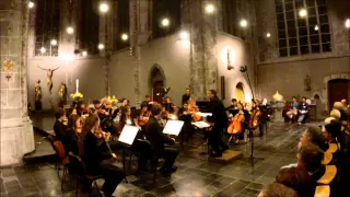 Young Belgian Strings : C. NIELSEN Little Suite for Strings Op. 1 Prélude - Intermezzo - Finale