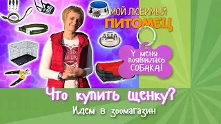 Что нам нужно для щенка? Обзор товаров в зоомагазине.