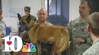 Service & Sacrifice: War Dog Healer