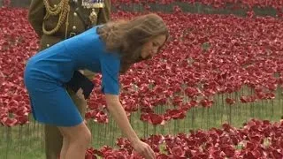 Prince William, Duchess Kate and Prince Harry plant poppies at First World War tribute