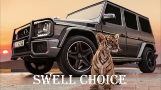 Gazan - ЧЕ ЗА ЛЕВ ЭТОТ ТИГР | 🔉 Swell Choice 🔊