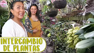 Intercambio de plantas con suscriptora de Perú y VAMOS A UN VIVERO BELLÍSIMO │Candy Bu