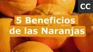 5 Beneficios de las Naranjas | Ciencia de la Comida