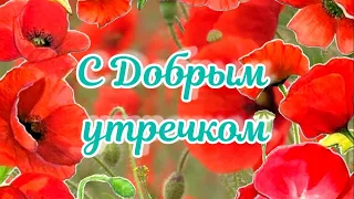 Доброе утро. Отличного Настроения #сдобрымутром #доброеутро #открыткисдобрымутром #доброеутречко