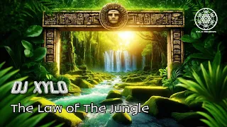 DJ Xylo - The Law of The Jungle (Official Music Video)