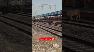 Live Accident --Train Hit Cow 🐄#trending #youtubeshorts #shortsviral #shorts #shortsvideo #youtube